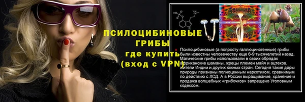 сатива Арсеньев