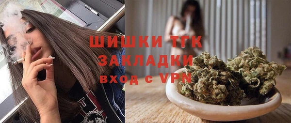 сатива Арсеньев