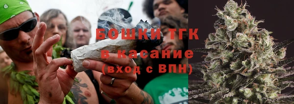 сатива Арсеньев